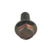 Screw TMS-Toro 33106-030