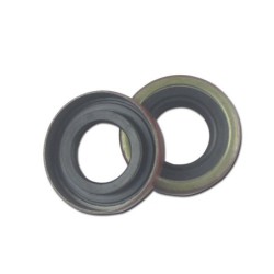 Seal TMS-Toro 253-160