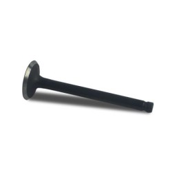 Valve In TMS-Toro 121-0596