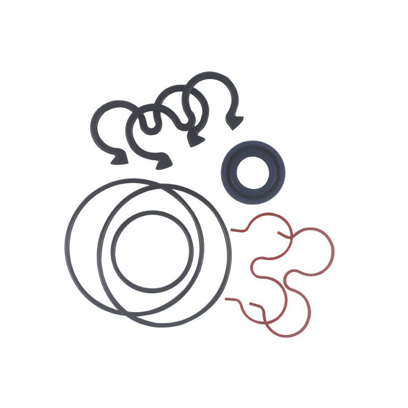Seal Kit TMS-Toro 115-8697