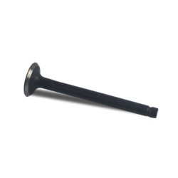 Valve Ex TMS-Toro 121-0597