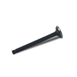 Valve Ex TMS-Toro 121-0597