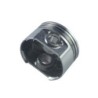 Piston STD TMS-Toro 121-0590