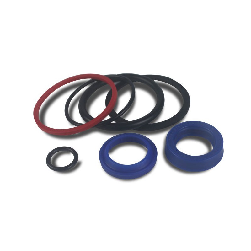 Seal Kit TMS-Toro 110-6460