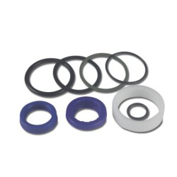 Seal Kit TMS-Toro 107-2563