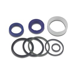 Seal Kit TMS-Toro 107-2563
