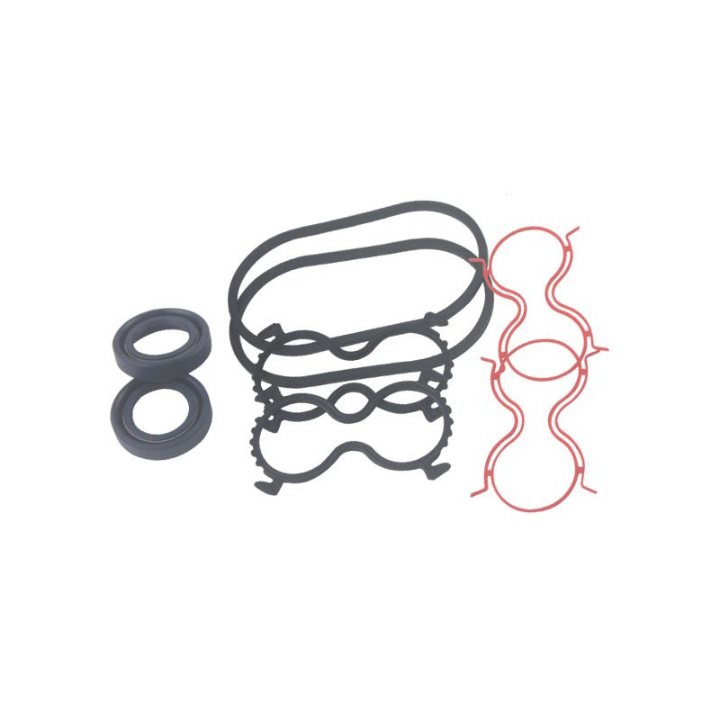 Seal Kit TMS-Toro 138-1234