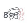 Seal Kit TMS-Toro 138-1234