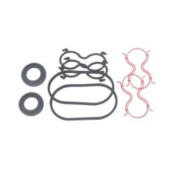 Seal Kit TMS-Toro 138-1234