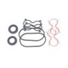 Seal Kit TMS-Toro 138-1234