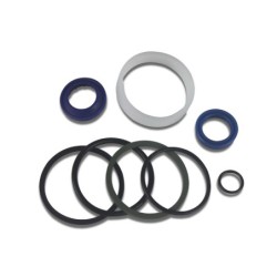 Seal Kit TMS-Toro 107-2564 107-1981