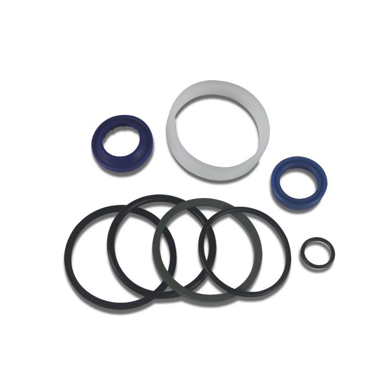 Seal Kit TMS-Toro 107-2564 107-1981