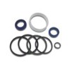Seal Kit TMS-Toro 107-2564 107-1981