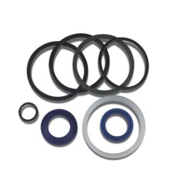 Seal Kit TMS-Toro 107-2564 107-1981