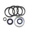Seal Kit TMS-Toro 107-2564 107-1981