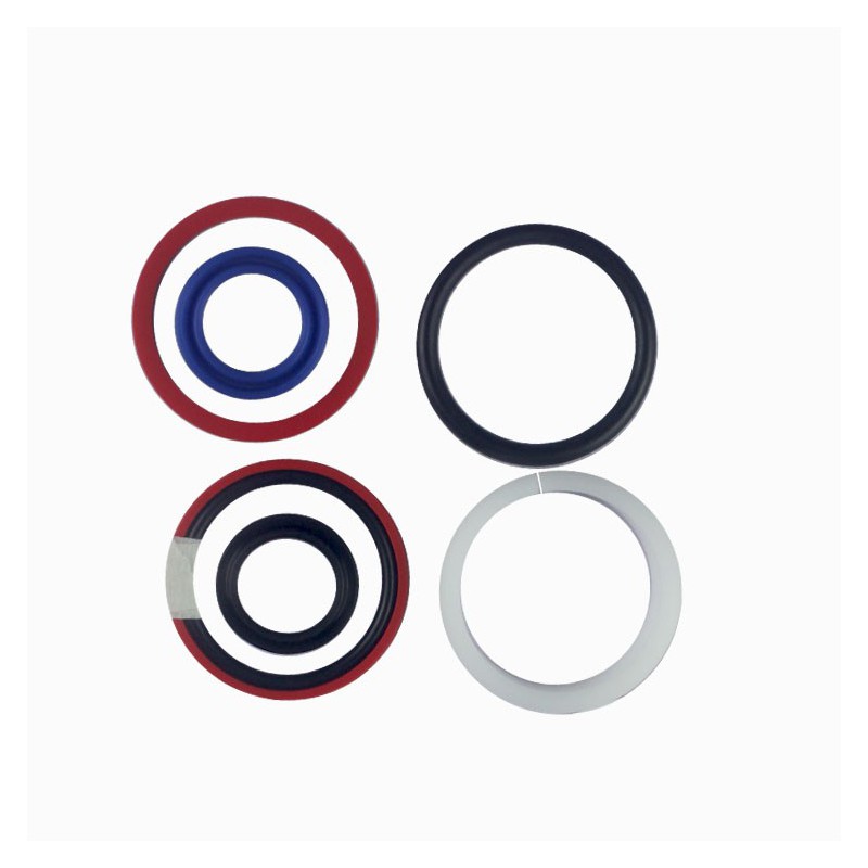 Seal Kit TMS-Toro 114-0622