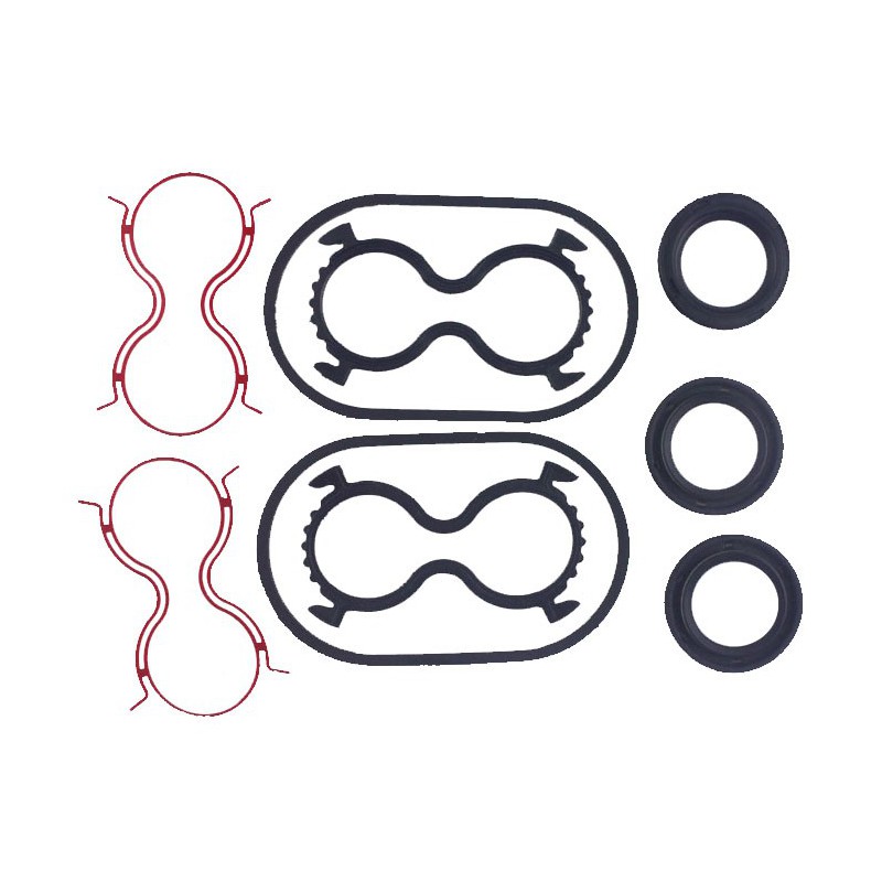 Seal Kit TMS-Toro 117-0235