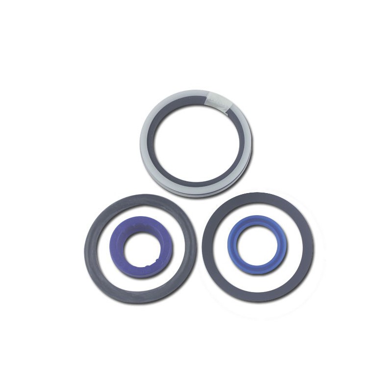 Seal Kit TMS-Toro 139-2652