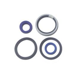 Seal Kit TMS-Toro 139-2652