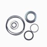Seal Kit TMS-Toro 94-4099 92-3489