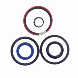 Seal Kit TMS-Toro 108-4597