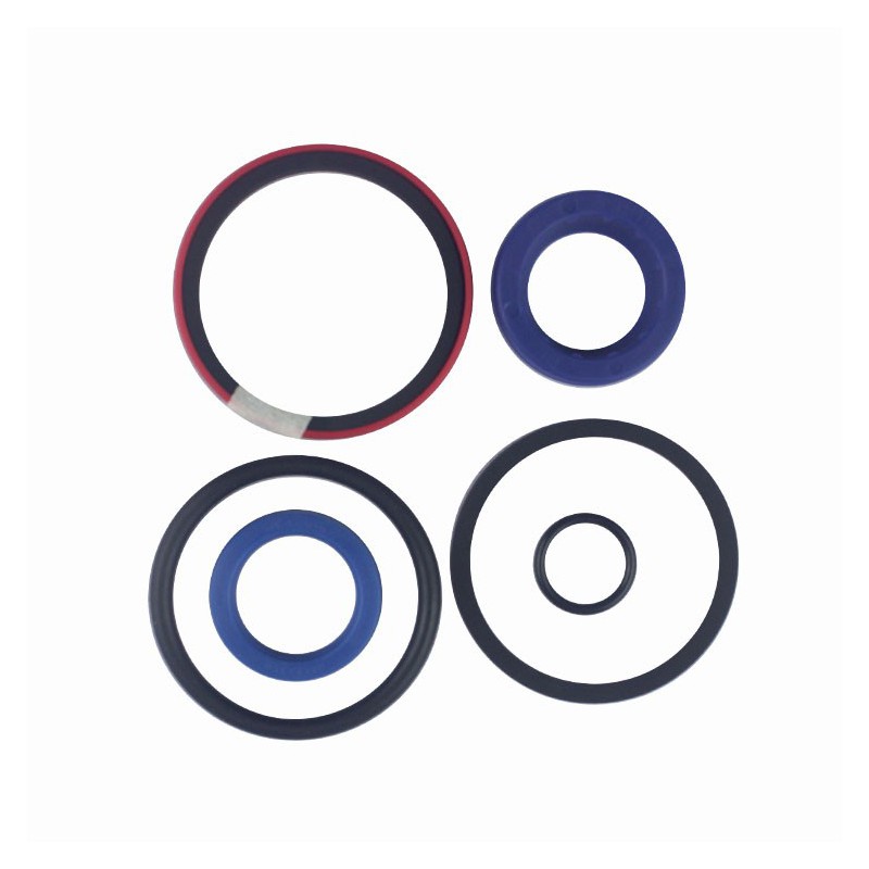 Seal Kit TMS-Toro 127-3880