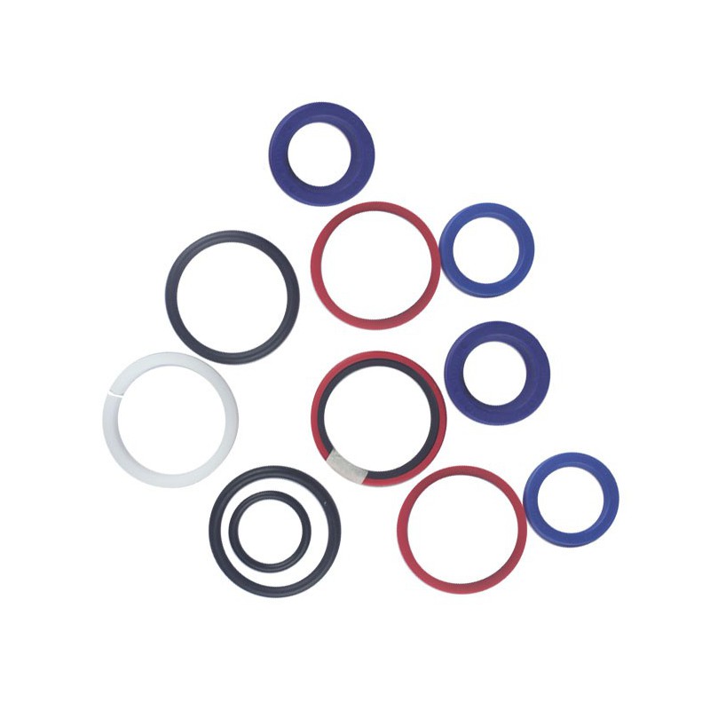 Seal Kit TMS-Toro 132-6964