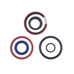 Seal Kit TMS-Toro 100-8023