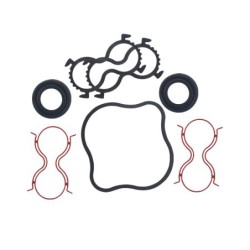 Seal Kit TMS-Toro 117-5105