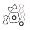 Seal Kit TMS-Toro 117-5105