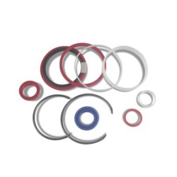 Seal Kit TMS-Toro 131-7756