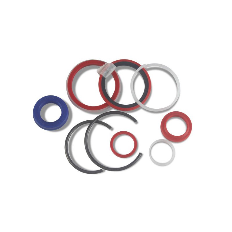 Seal Kit TMS-Toro 131-7755