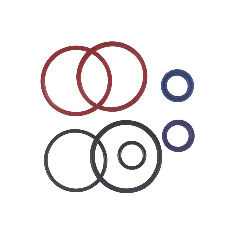 Seal Kit TMS-Toro 110-4134