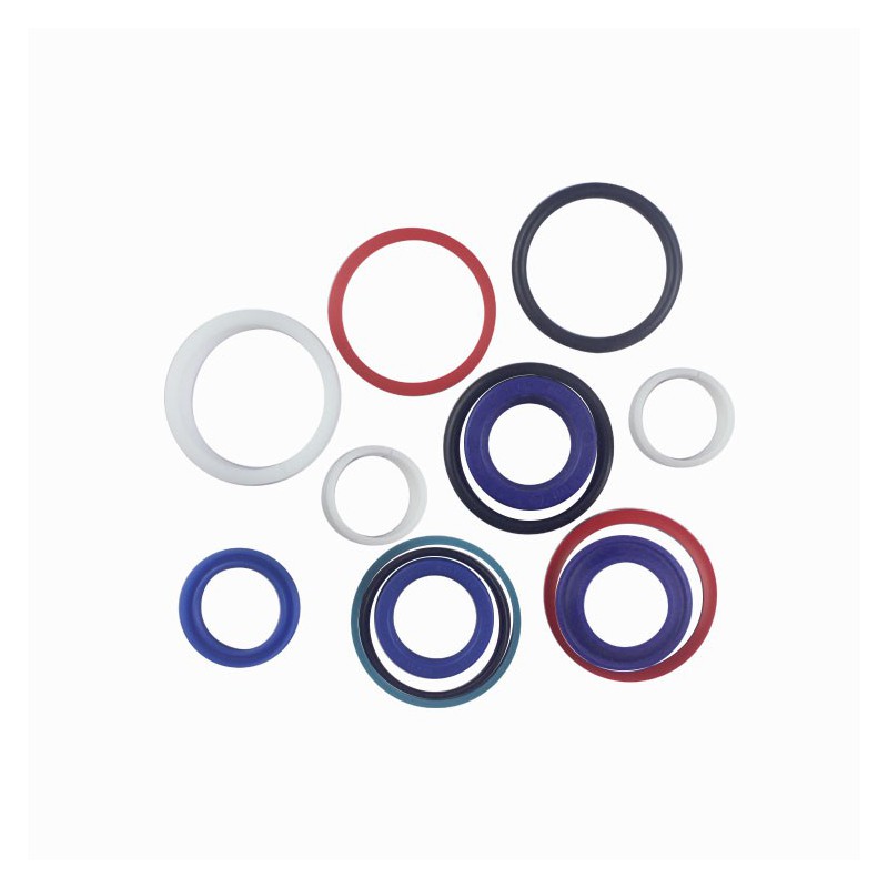 Seal Kit - Fits R112-0297 TMS-Toro 112-9170 112-0297