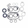 Seal Kit TMS-Toro 110-0040
