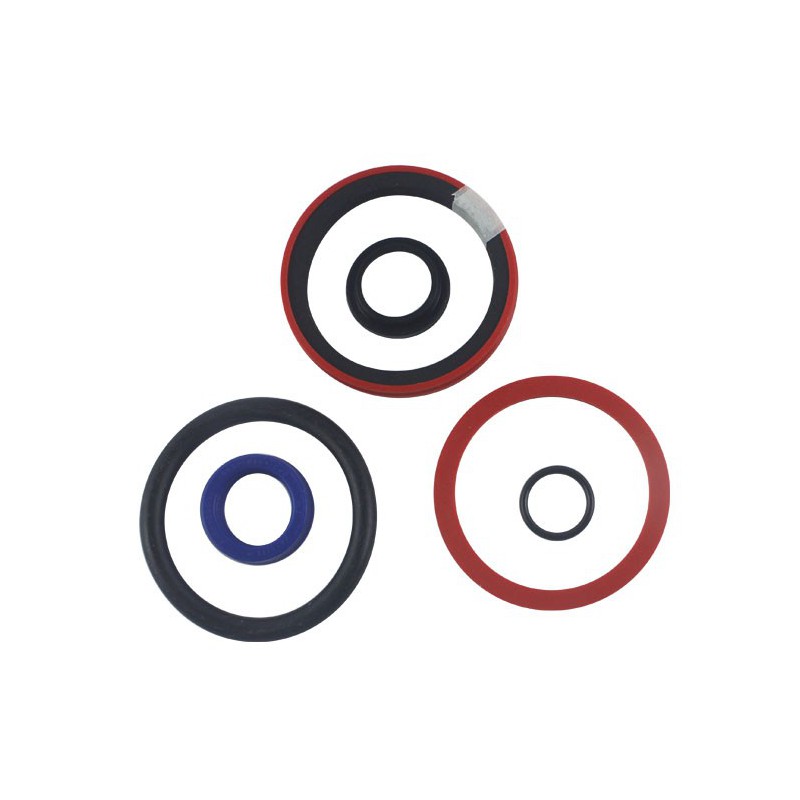 Seal Kit TMS-Toro 100-8022