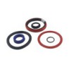 Seal Kit TMS-Toro 100-8022