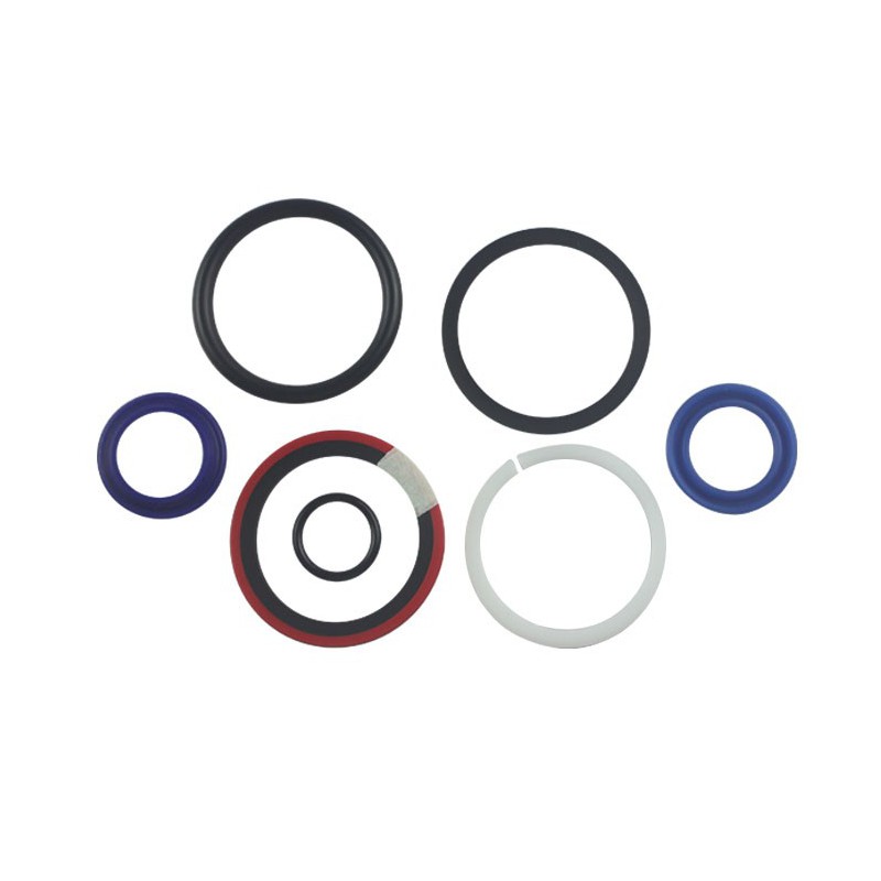 Seal Kit TMS-Toro 133-2900 119-6992