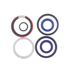 Seal Kit TMS-Toro 119-6992 133-2900