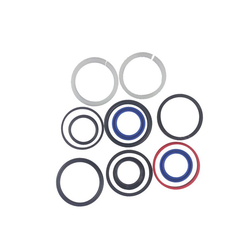 Seal Kit TMS-Toro 119-7124