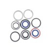Seal Kit TMS-Toro 119-7124