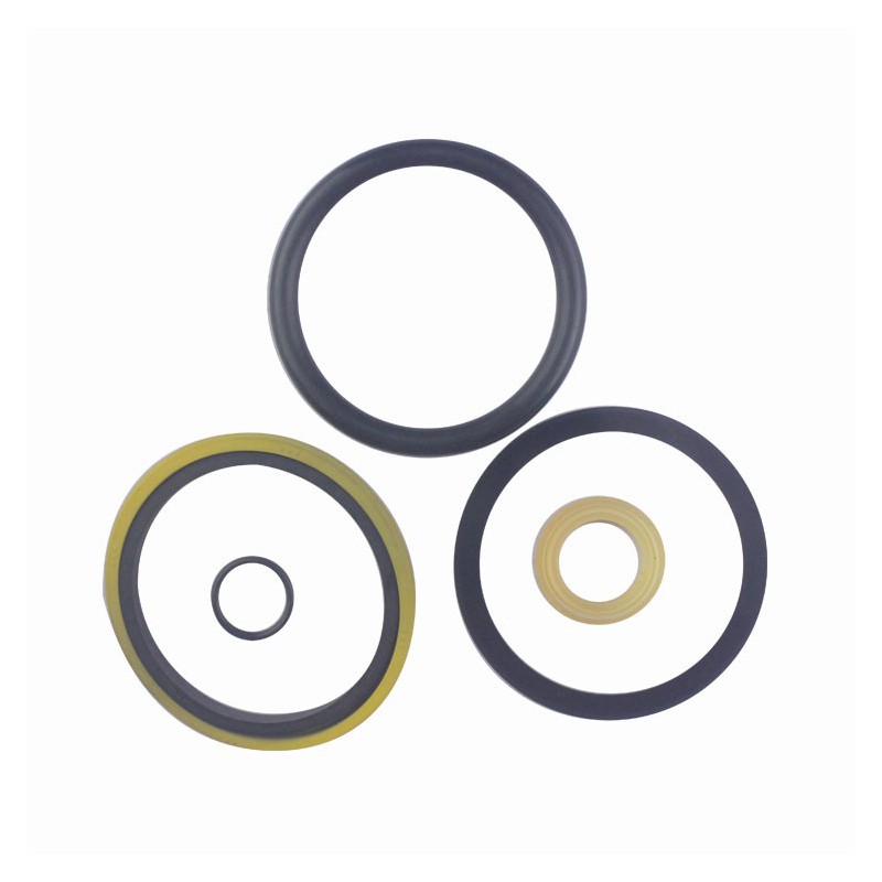 Seal Kit TMS-Toro 94-3619