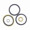Seal Kit TMS-Toro 94-3619