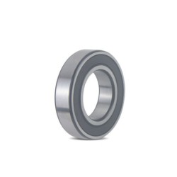 Bearing TMS-Toro 251-310