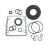 Seal Kit TMS-Toro 110-6481