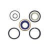Seal Kit TMS-Toro 106-7941