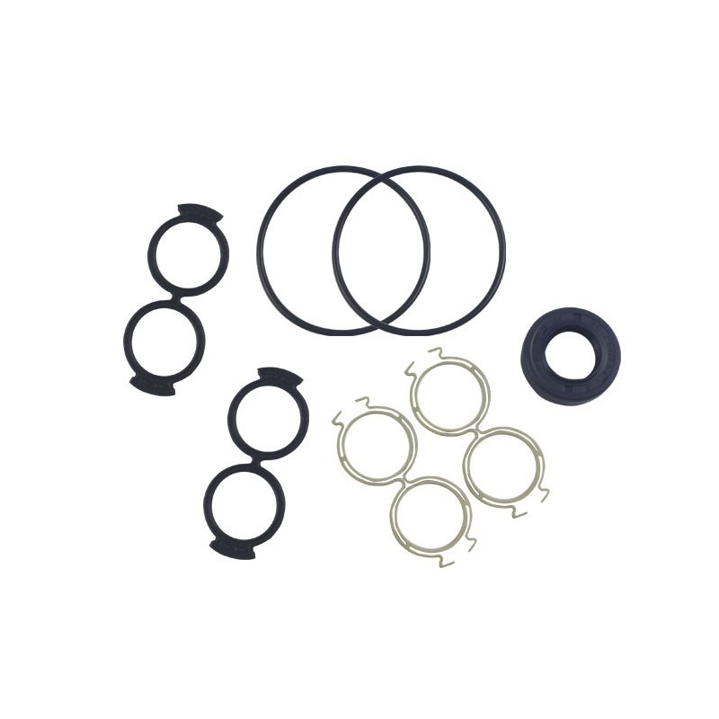 Seal Kit TMS-Toro 105-9758