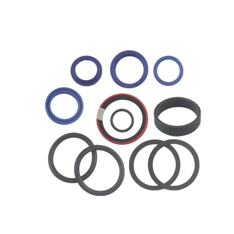 Seal Kit TMS-Toro 114-0404