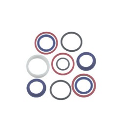 Seal Kit TMS-Toro 115-2160