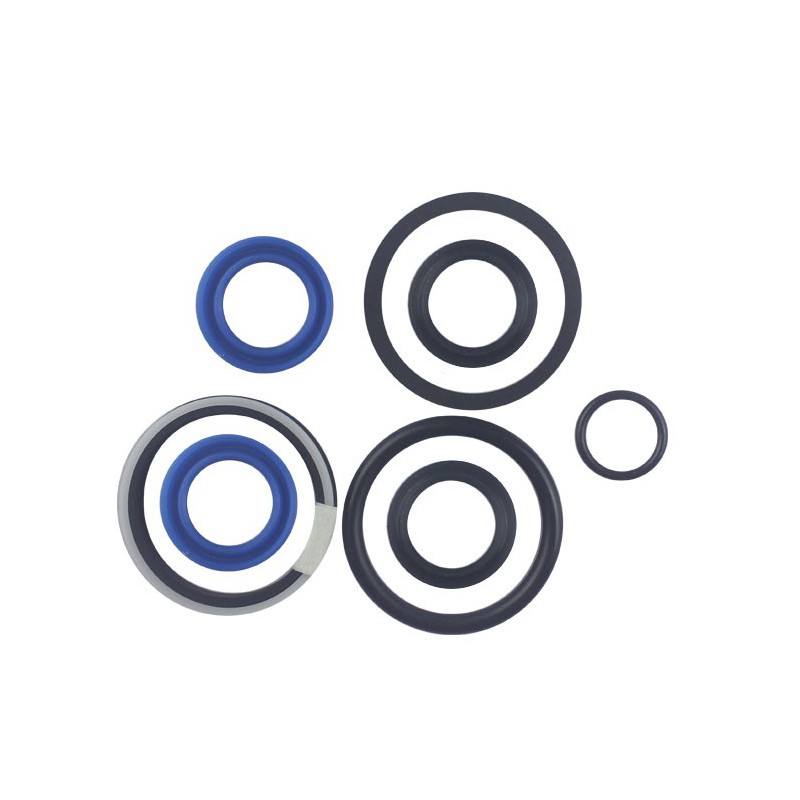 Seal Kit TMS-Toro 104-5847